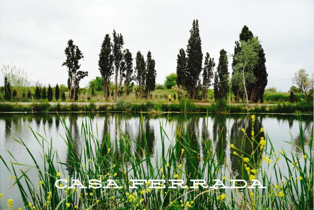 Casa Ferrada Villa Burriana Bagian luar foto